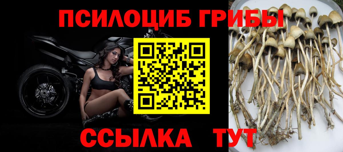 Щёлково  Галлюциногенные грибы прущие грибы  Вход с VPN 