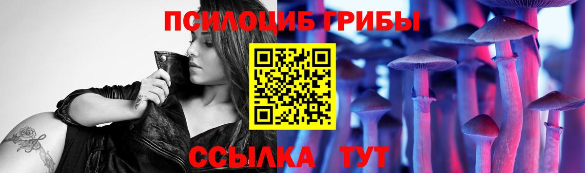 Галлюциногенные грибы Psilocybe Щёлково